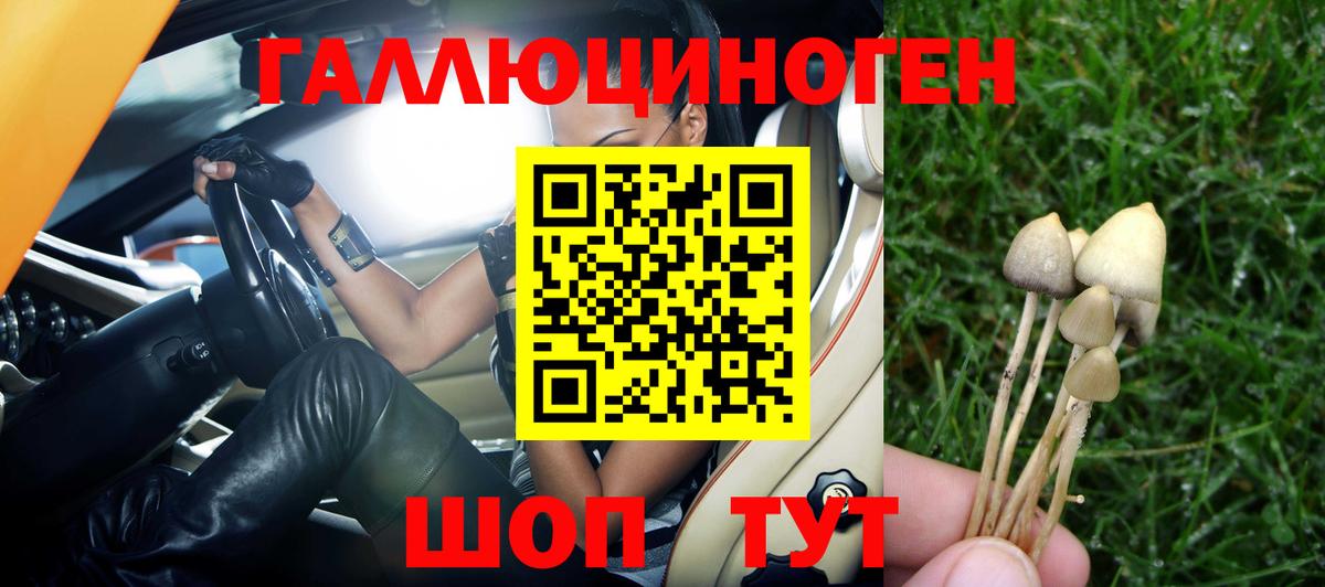 Тимашёвск  Псилоцибиновые грибы Psilocybine cubensis  Вход с VPN  Псилоцибиновые грибы мицелий 